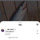 동해월드펜션 | 7/27-28 강원도 동해, 정선 하이원 워터월드