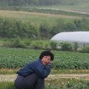 둔내농장 이미지