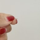 귀로 보는 건강클리닉 이혈 | 이혈패치 예쁜데 지압도 되는 연예인귀침 정품 스왈 사용하는 wbl 주얼패치