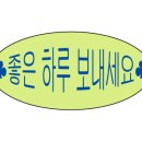 측백장어 이미지