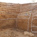 강화중성 이미지