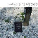 경북 계곡이 있는 노키즈존 봉화별캠핑장 A11후기