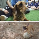 1027하우스 이미지