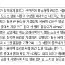 곤충왕국