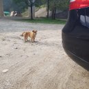 상보안1교 이미지