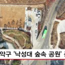 낙성대 숲속공원