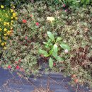 월산농장 이미지