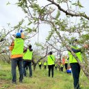 모범축산 이미지