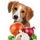 아인스 동물병원 이미지