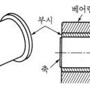 부쉬(bush) 이미지