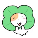 양코치 애견카페 이미지