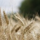 연수요양병원 이미지