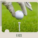 소울스크린골프 | 골프티 꽂는 법, 뽕샷과 탑볼의 진짜 원인은 '티 깊이'였다