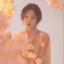 파리미용실 - 함평군 사거리길 40 | 파리미용실
