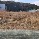 장안읍반룡리-80 이미지