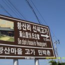 월성민박 이미지