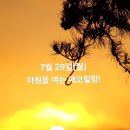 7월 29일(월)아침을 여는 건강한 에코힐링(글 전체보기는 글주소 클릭!) 이미지