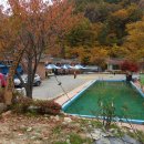 칠곡황학산휴양림 Daum카페