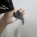 모모라이브 - 속초시 먹거리2길 2-3 | 탈모샴푸 추천 이고세 그로우 모모 안티로스 샴푸 실사용 후기 (네이버라이브방송 할인정보)