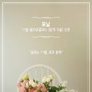 꽃날스튜디오
