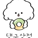 댕구상점 이미지