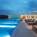 아쿠아필드 고양 이미지