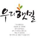 햇밀 이미지