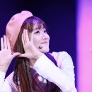 후레쉬월드 이미지