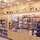 분당파크뷰동물병원 이미지