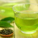 홍천자연랜드 이미지