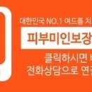 더 참진 네이버블로그