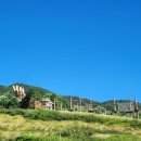 힐링 행정사사무소 이미지