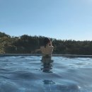 호텔히든 이미지