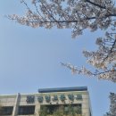 그림책 문해력 | 고등학교에서 진행한 문해력 향상 그림책 프로그램 후기
