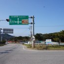 광포전자 이미지