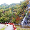장수덕산로 네이버블로그