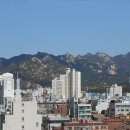 에덴만물상 이미지