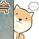 마이독 이미지