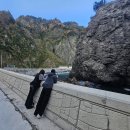 다온여행사 | 36시간 울릉도, 독도 여행 with. 범서 여행사