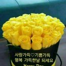 행복이랑사랑이랑 세탁소 이미지