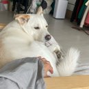 색달모터스