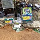 윗화산쉼터 화장실 | 관악산 두 번째 도전기 ⛰️ feat. 계단 지옥, 연주암 후기, 그리고 캉캉치마의 저주😂