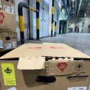 SWIFT CANADA 38 볼라 이미지