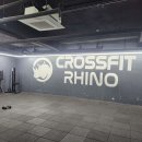 크로스핏 라이노 이미지