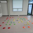 개와 집사의 시간 이미지