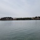 김성옥 인권행정사사무소 이미지