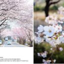 지리산팔베개
