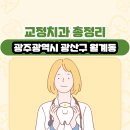 조아영치과의원 | 광주광역시 광산구 월계동 교정치과 총정리