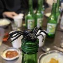 에덴피시 이미지