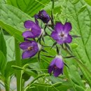 우리농장2 이미지